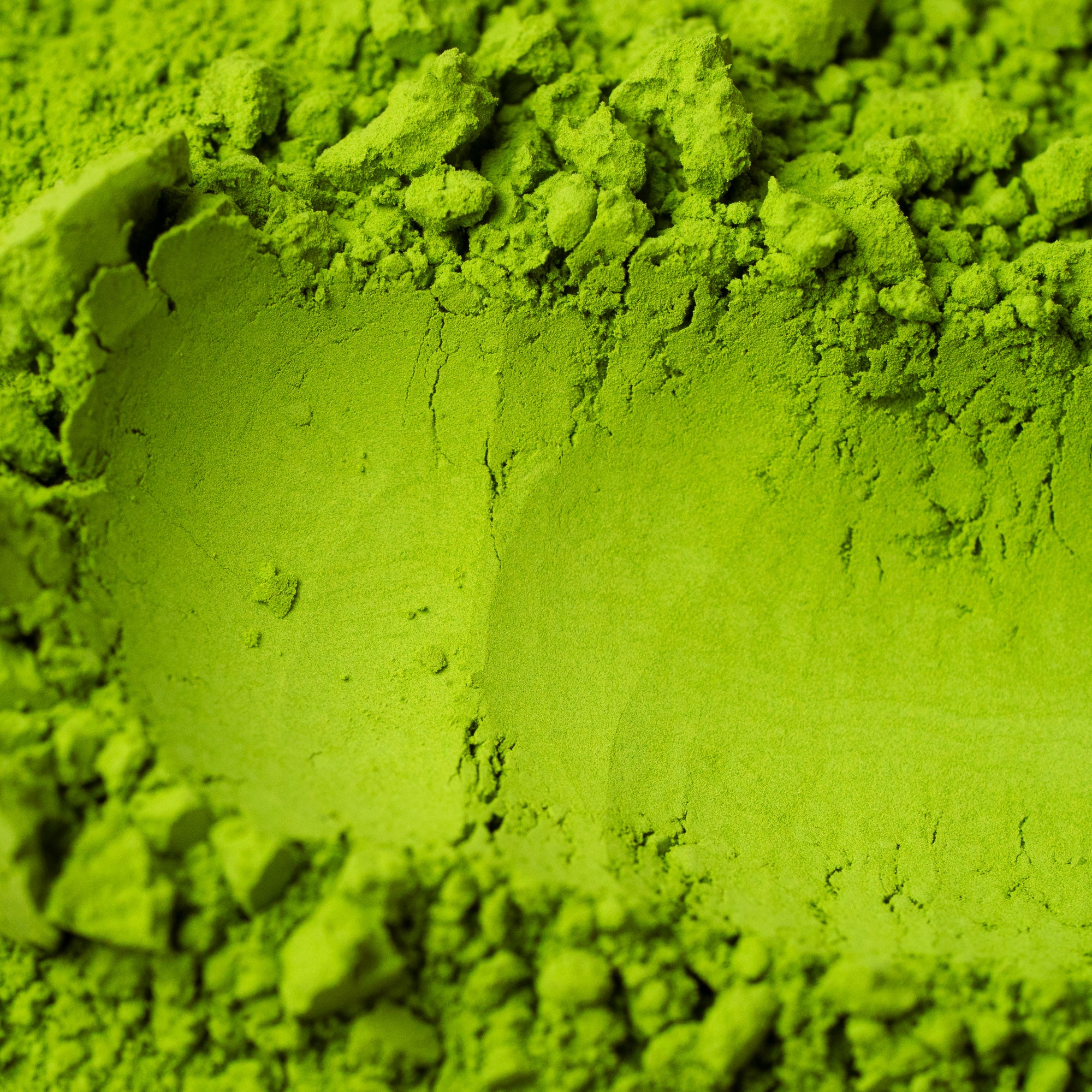 Japan to Berlin – The Discovery Set