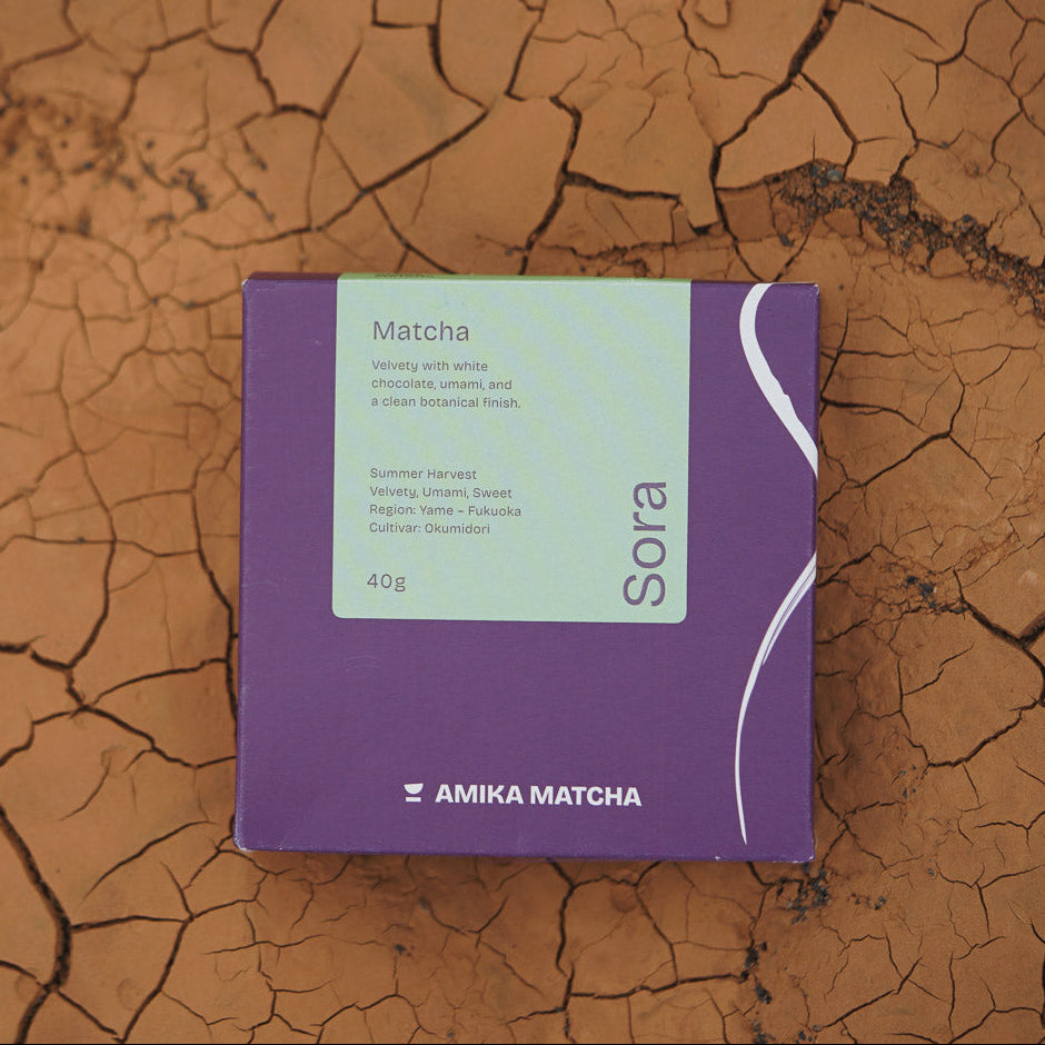 Japan to Berlin – The Discovery Set 