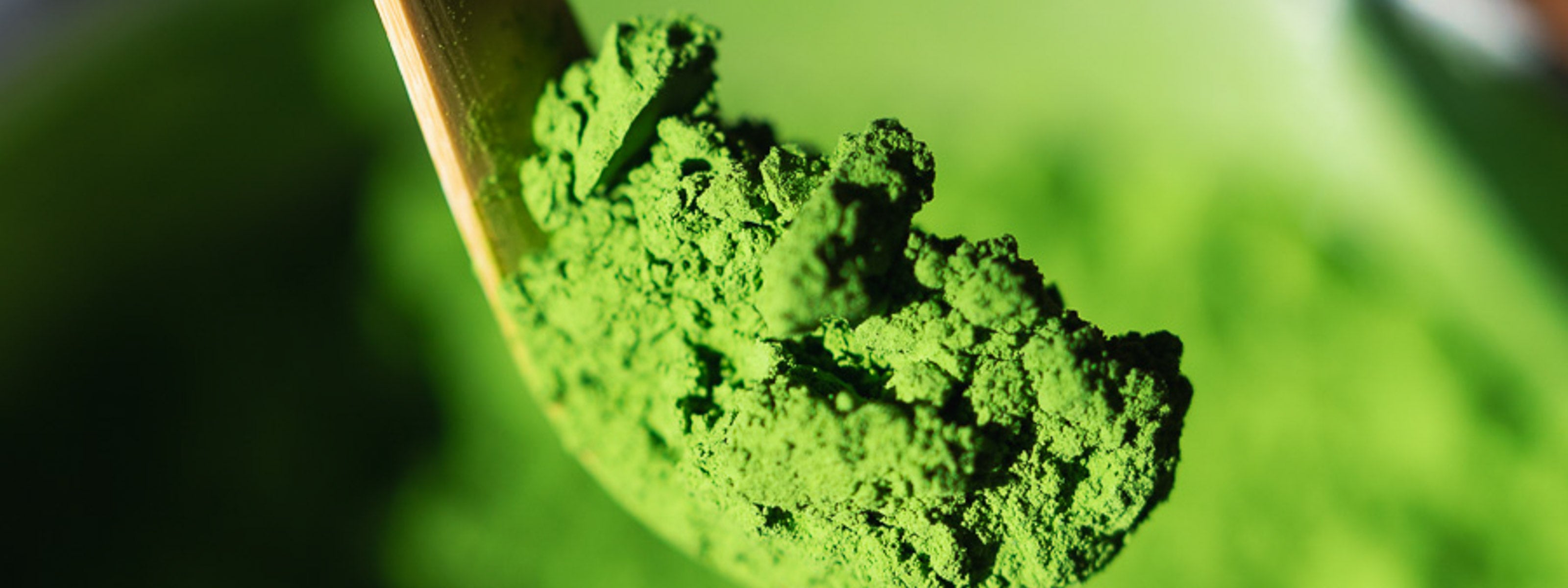 Amika Matcha. Kagoshima, Uji, Yame. Japanischer Grüntee seit 2017.